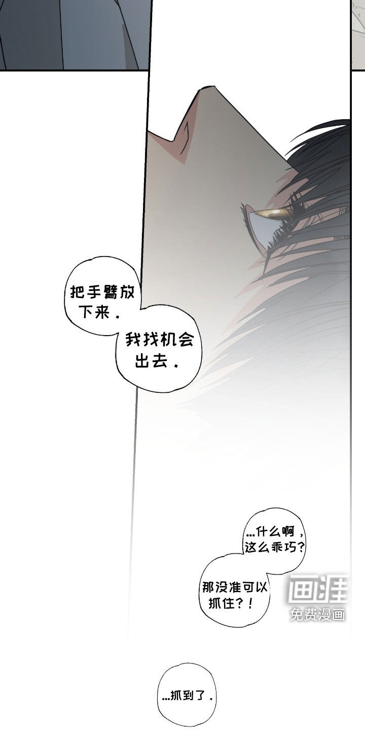第16话3