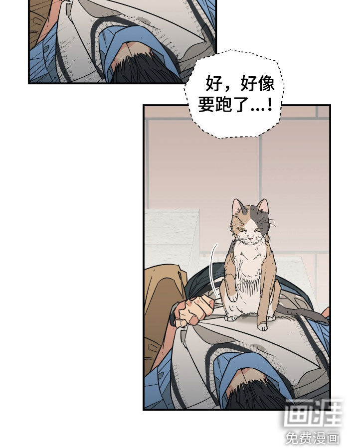 第15话22