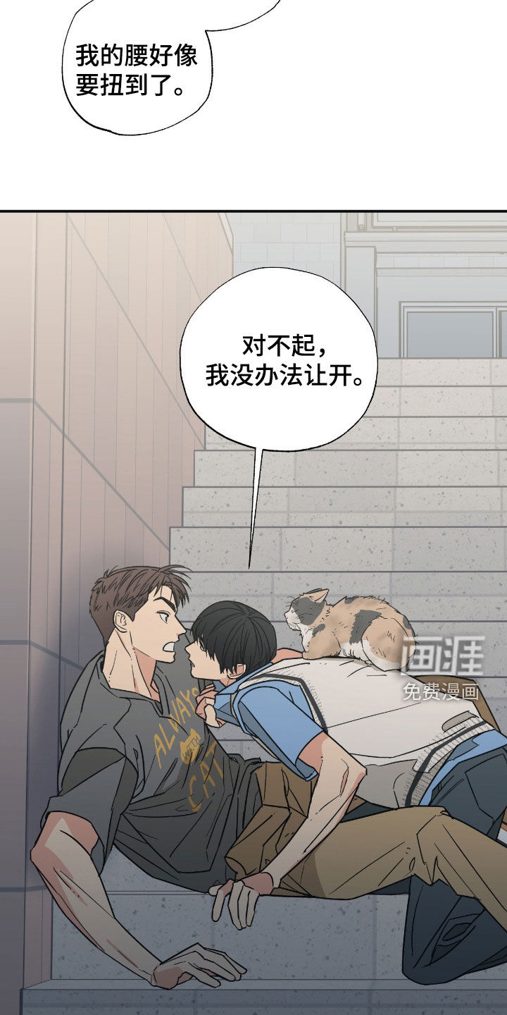 第15话19