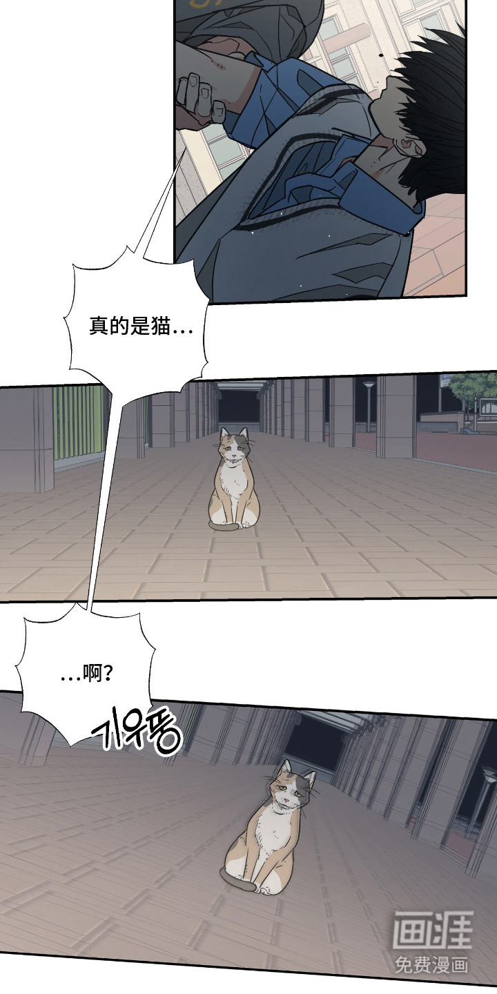 第14话13