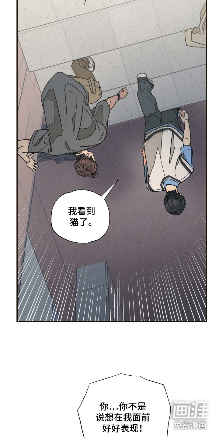 第14话9