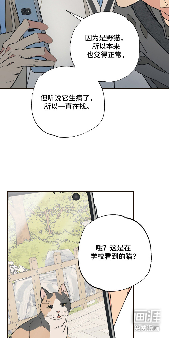 第13话7