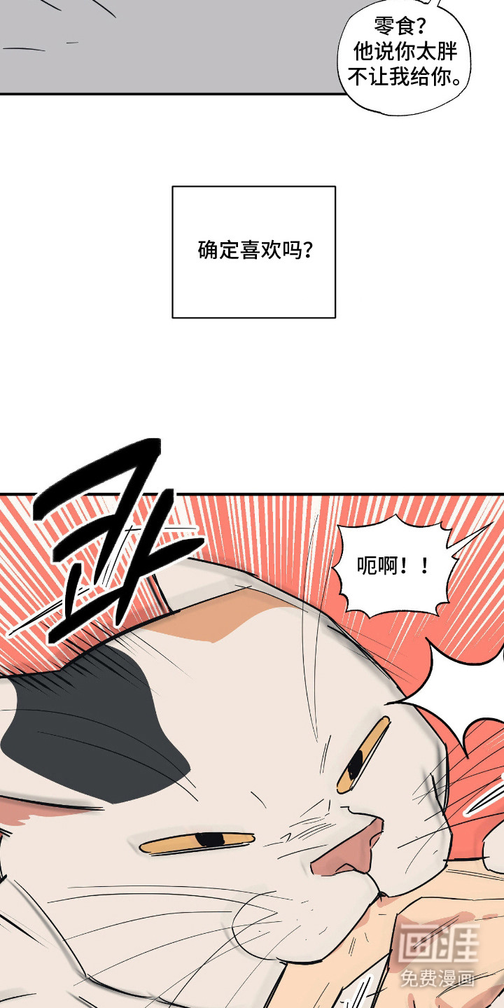 第11话2