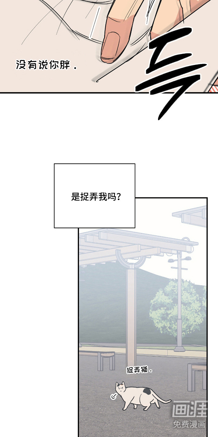 第11话3