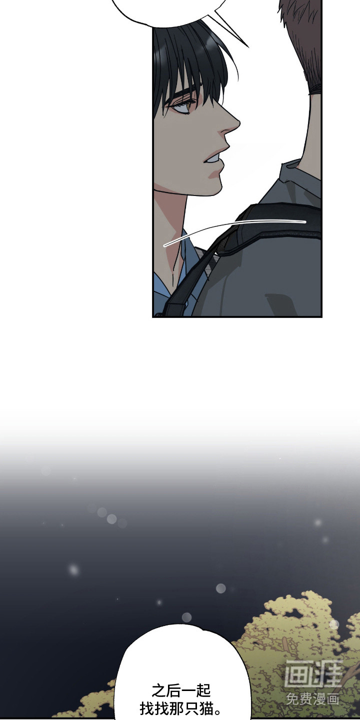 第11话9