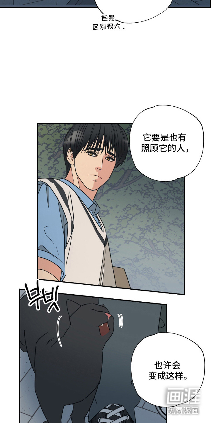 第11话12