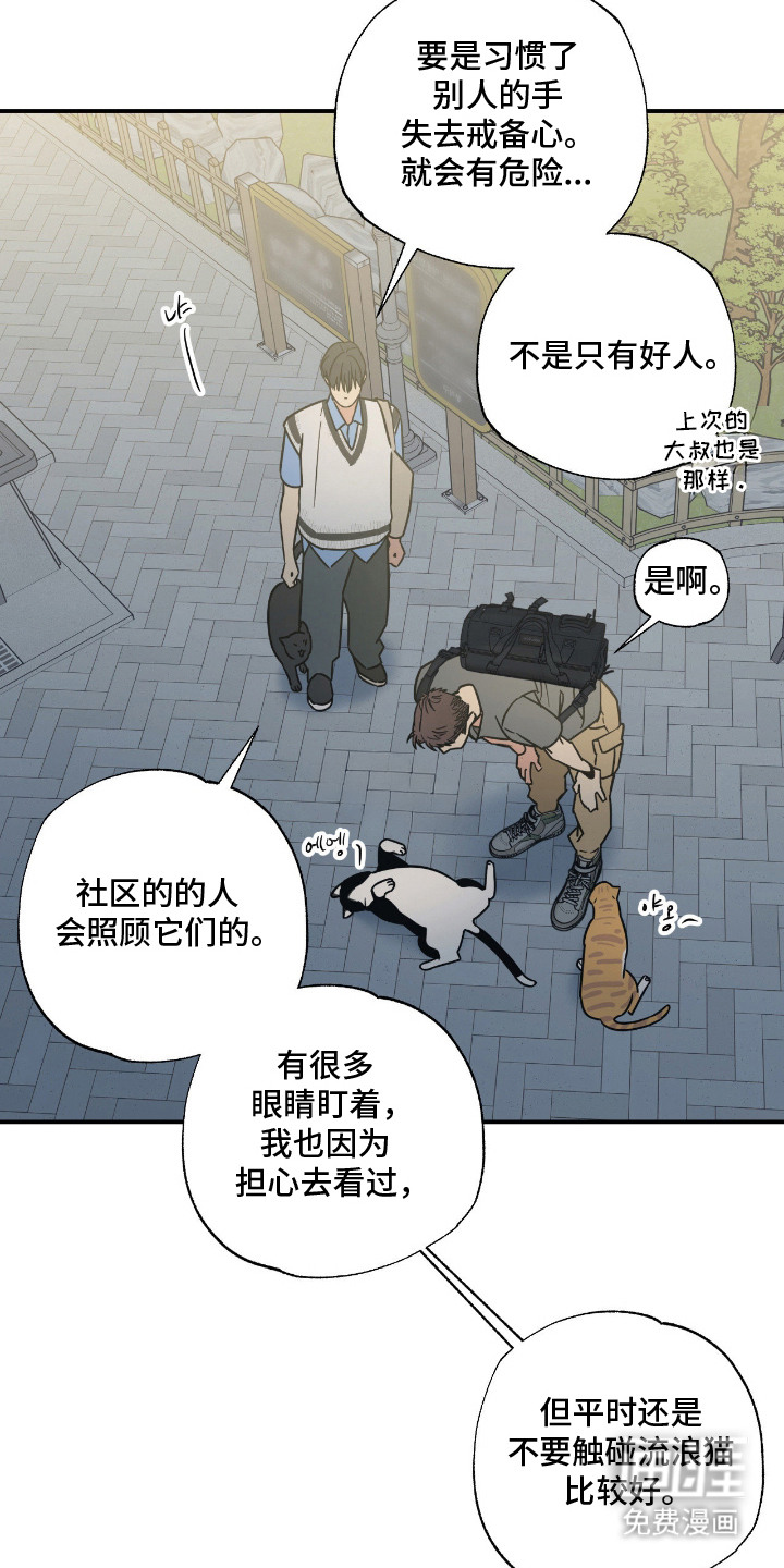 第11话14