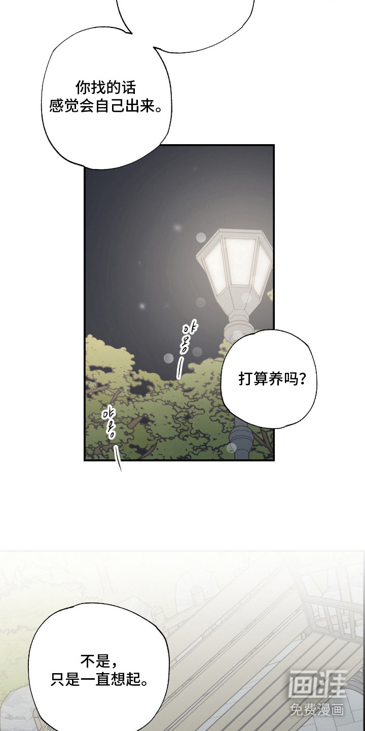 第11话10