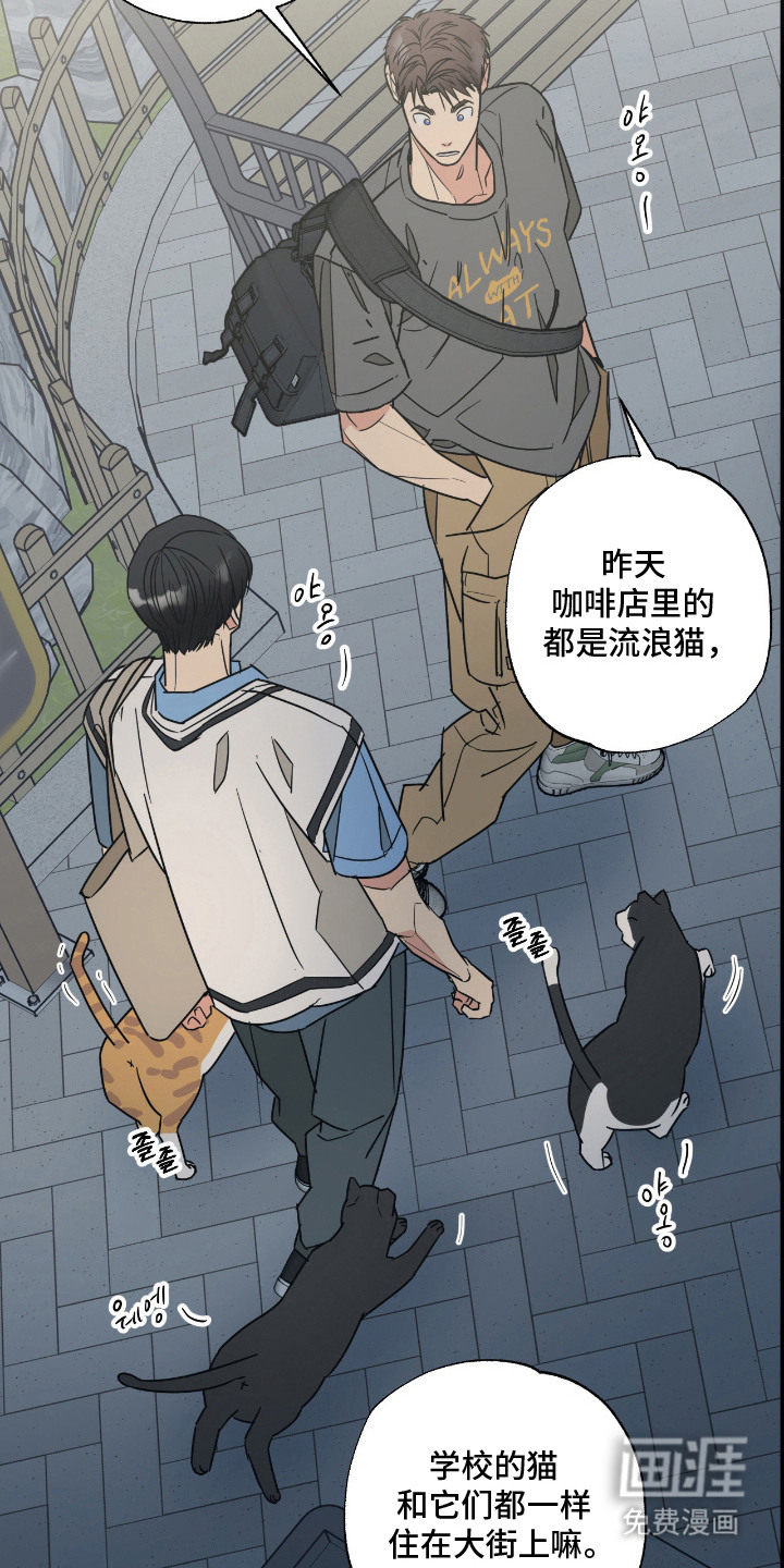 第11话11