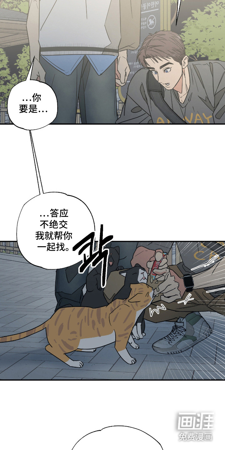 第11话17