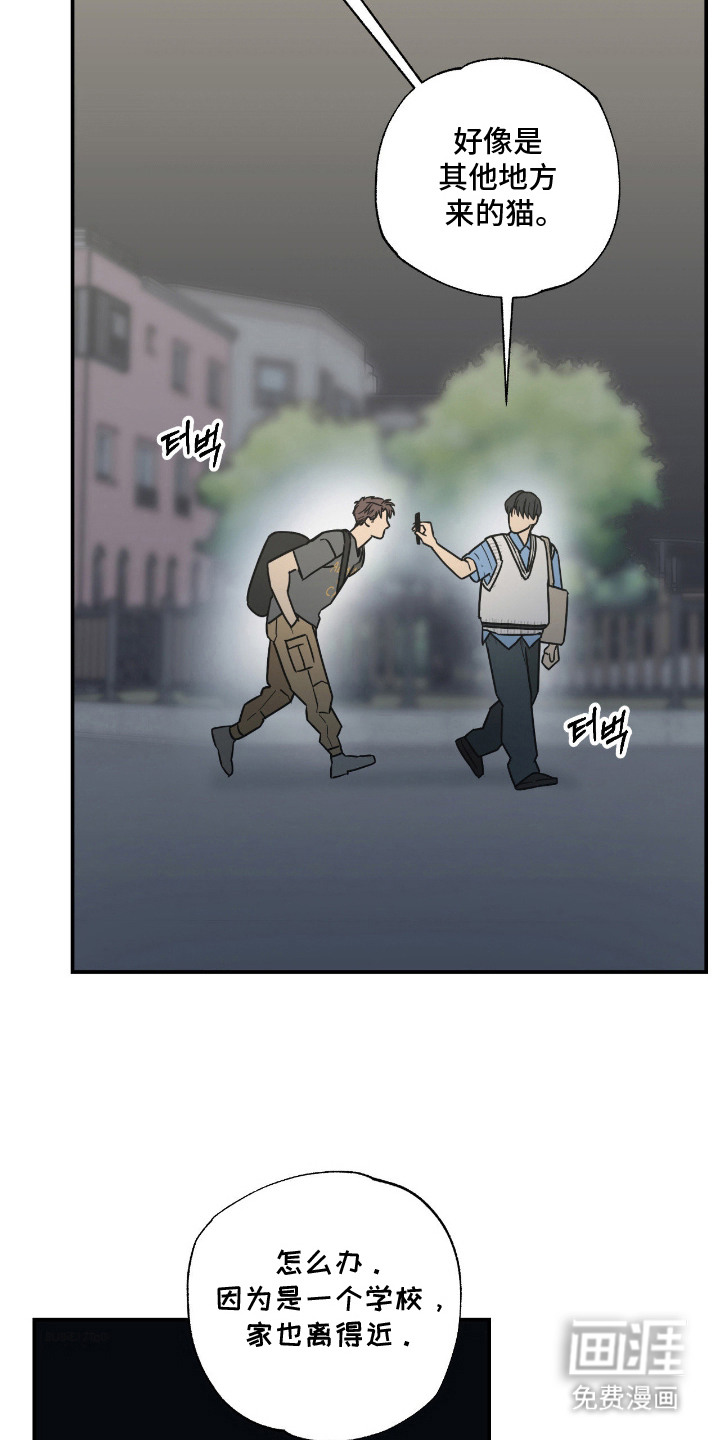第11话6