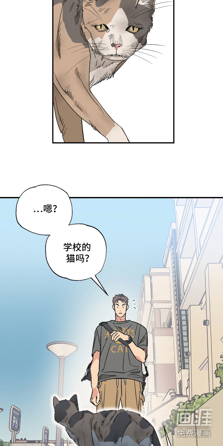 第9话13