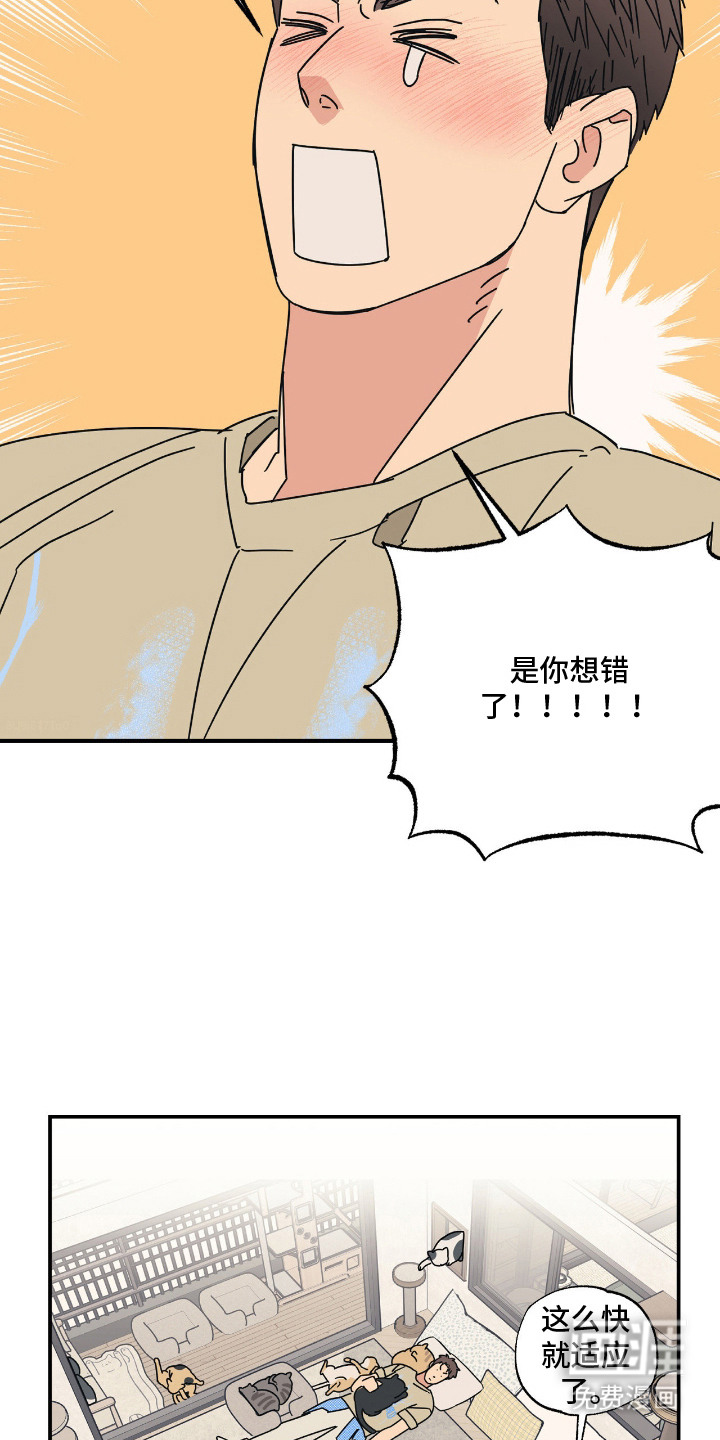 第7话4