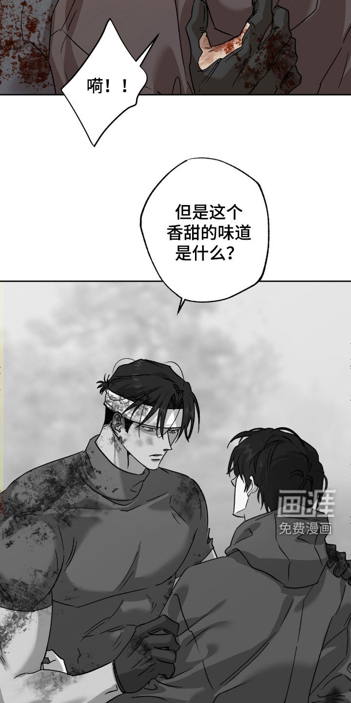 第72话17