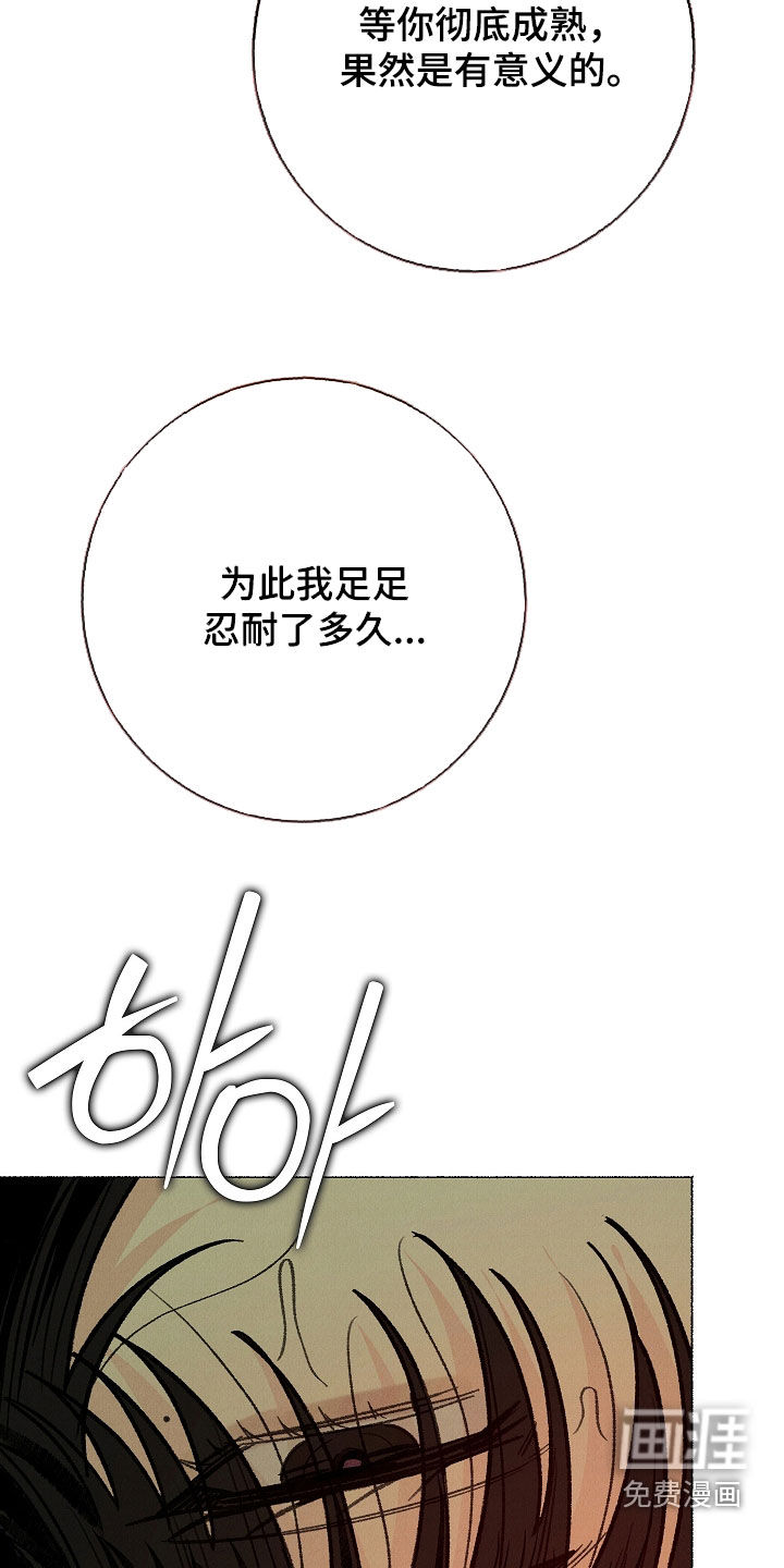 第46话31