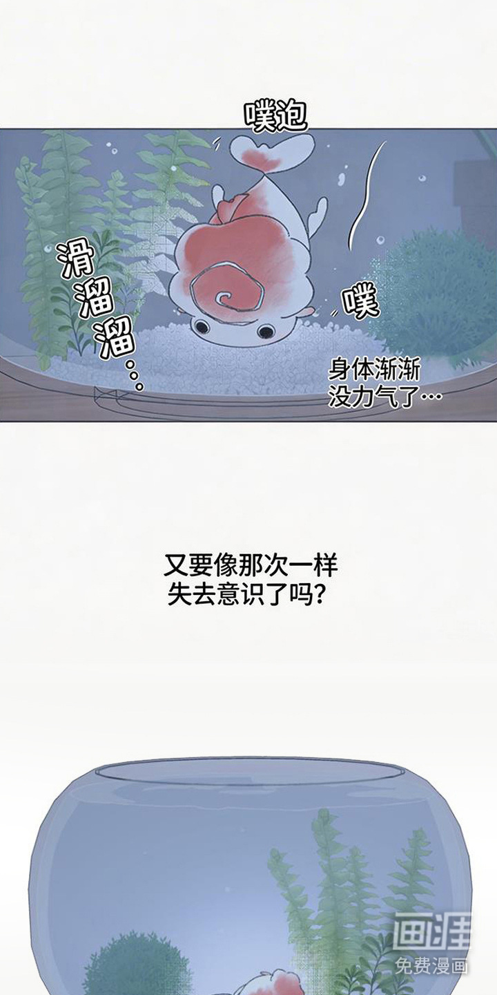 第3话12