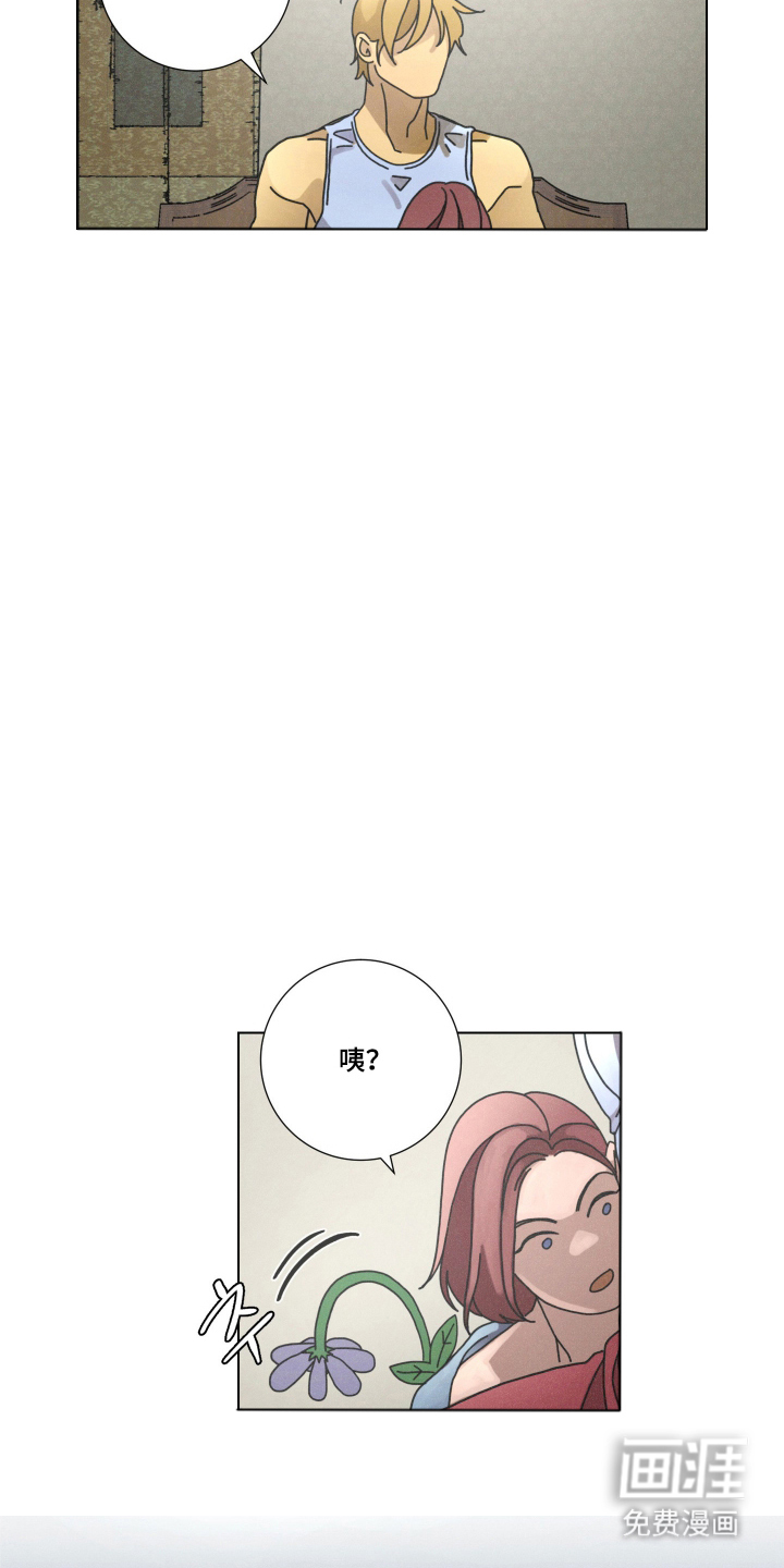 第9话8