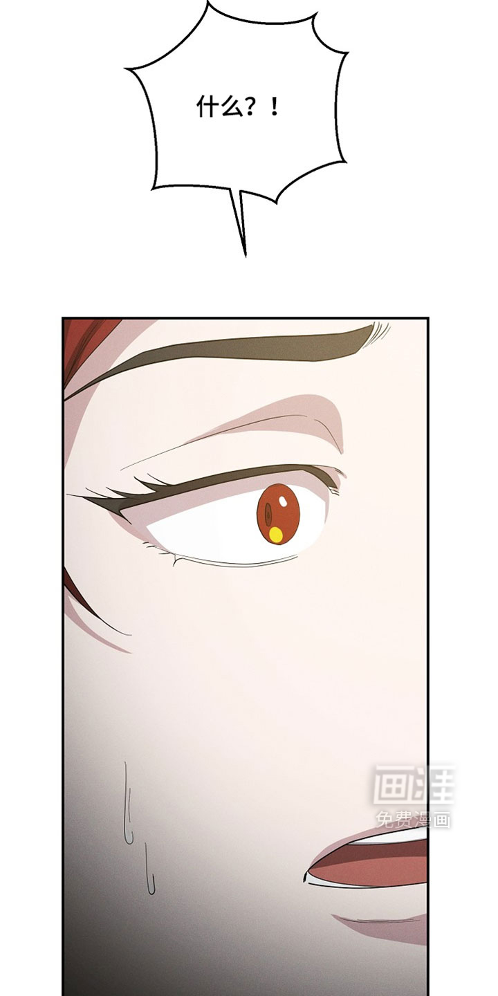 第132话24