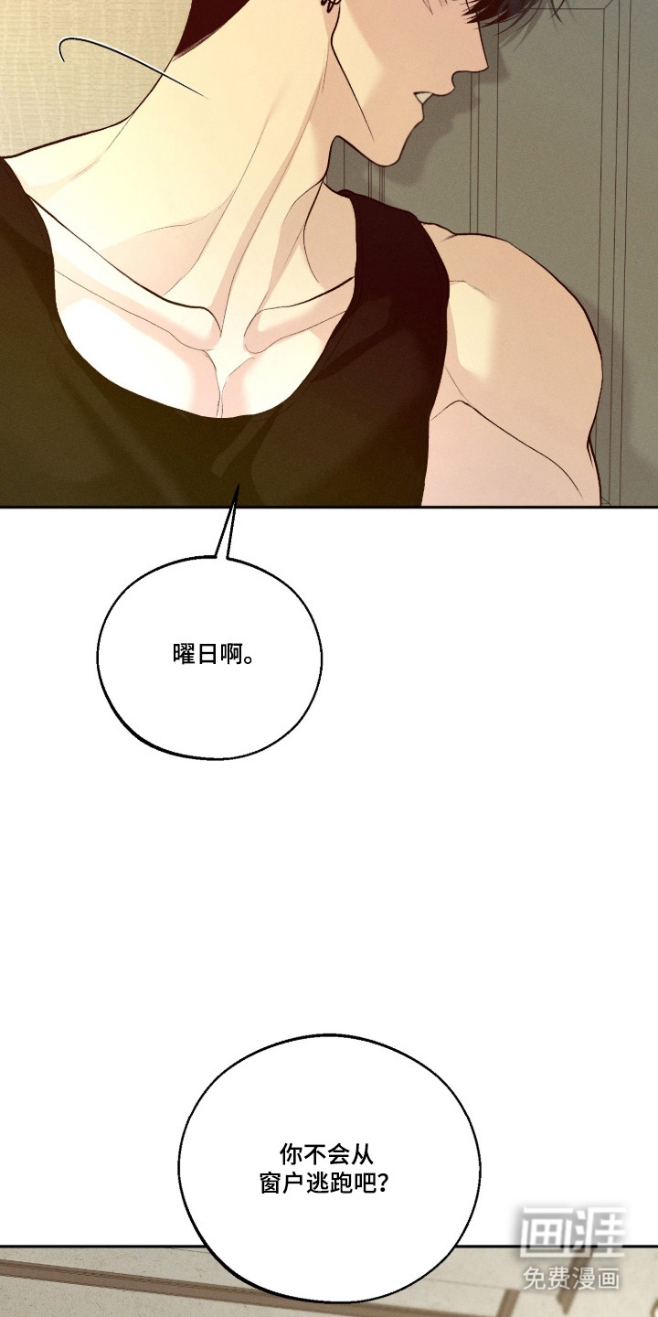 第146话1