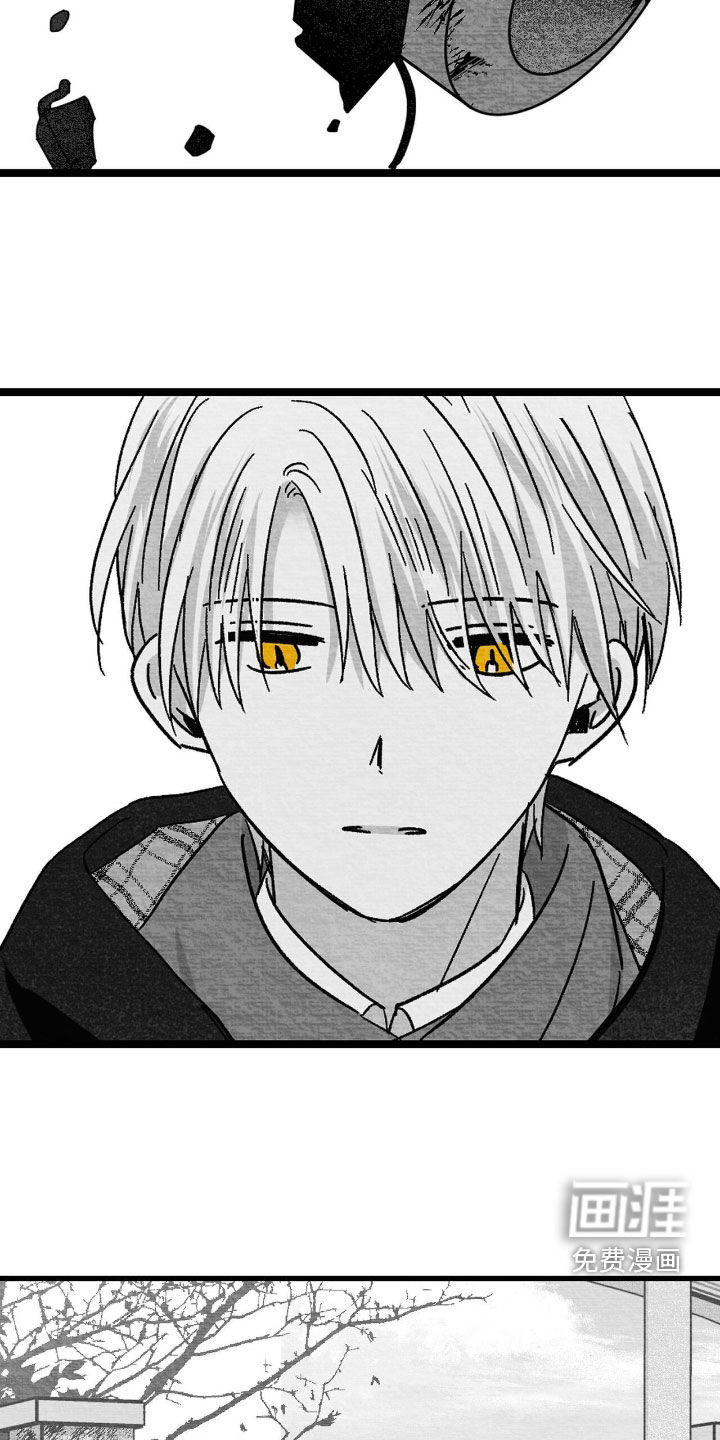 第135话26