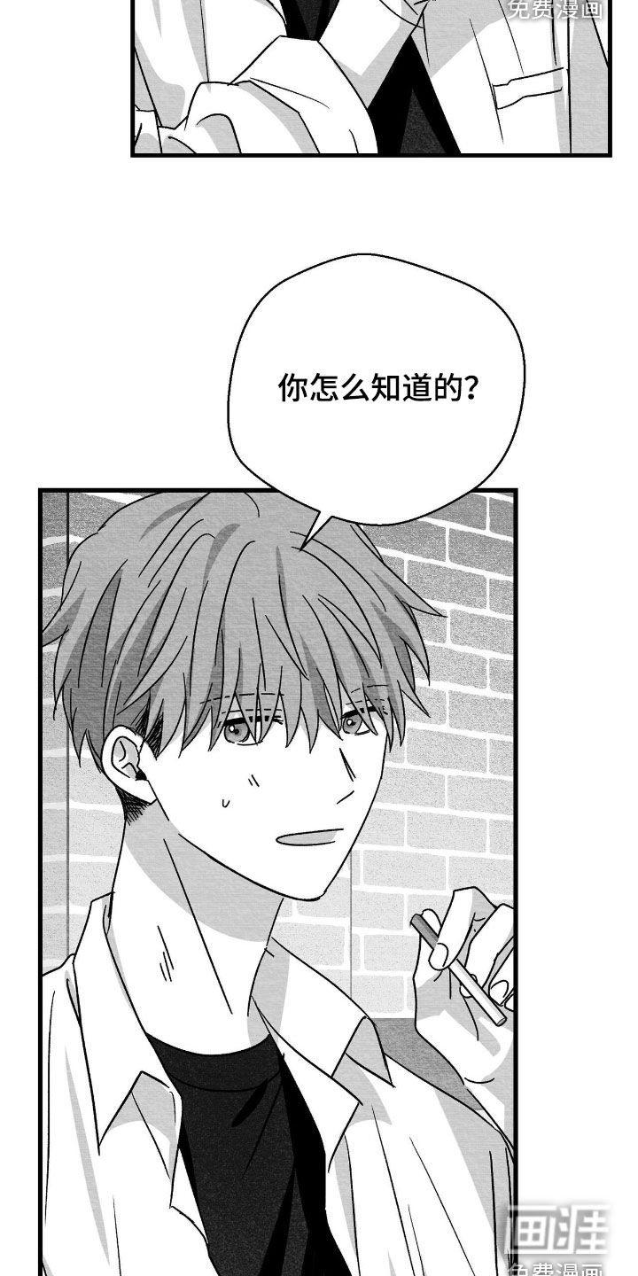 第135话10