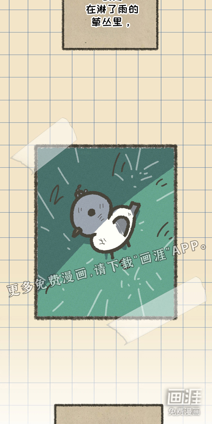 第41话5