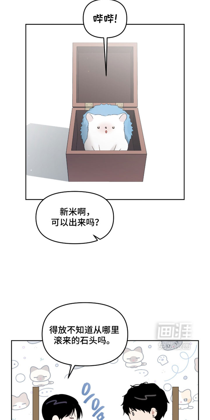 第204话11