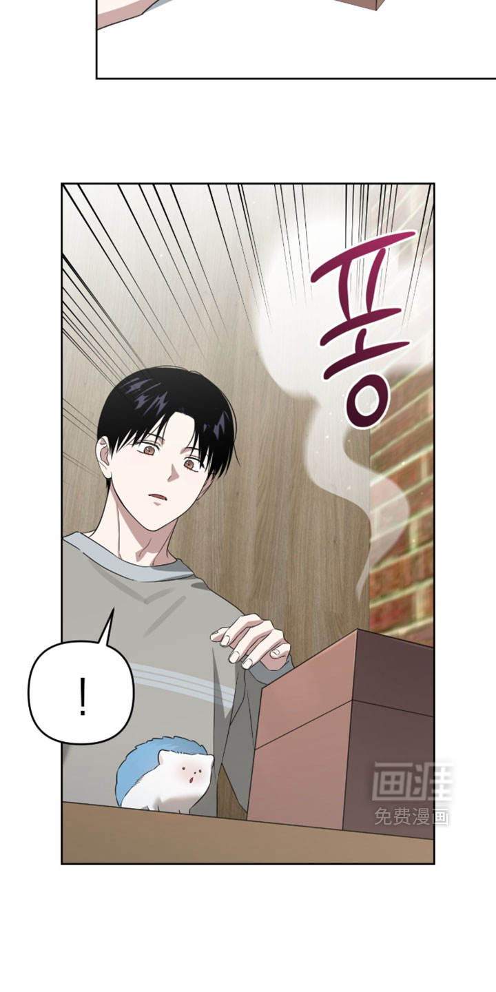 第204话17