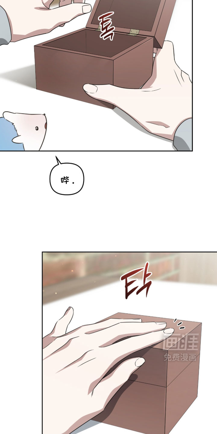 第204话16