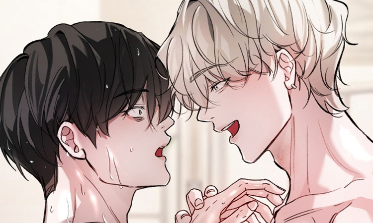 洁癖向导与变态哨兵