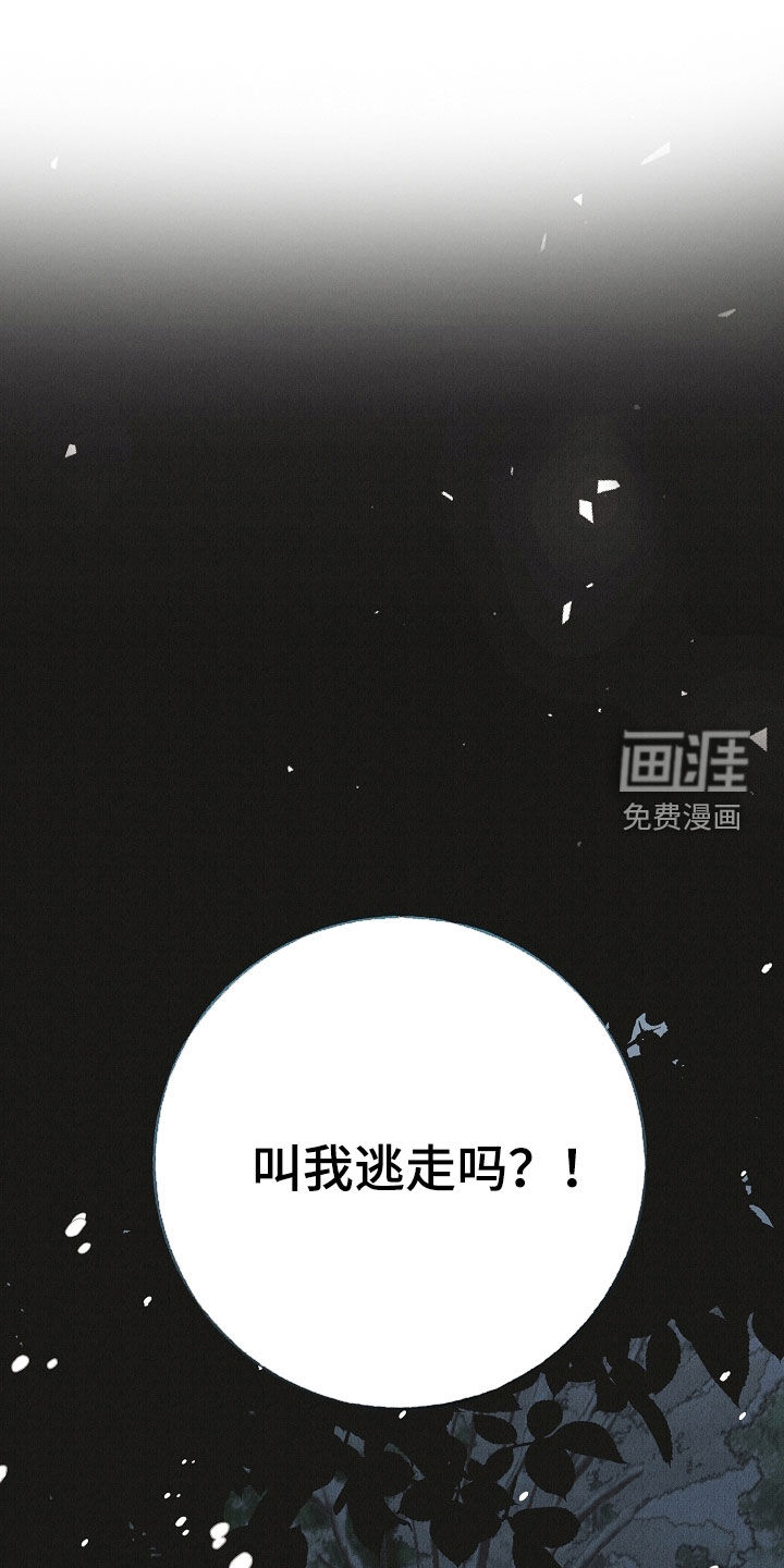 第53话0