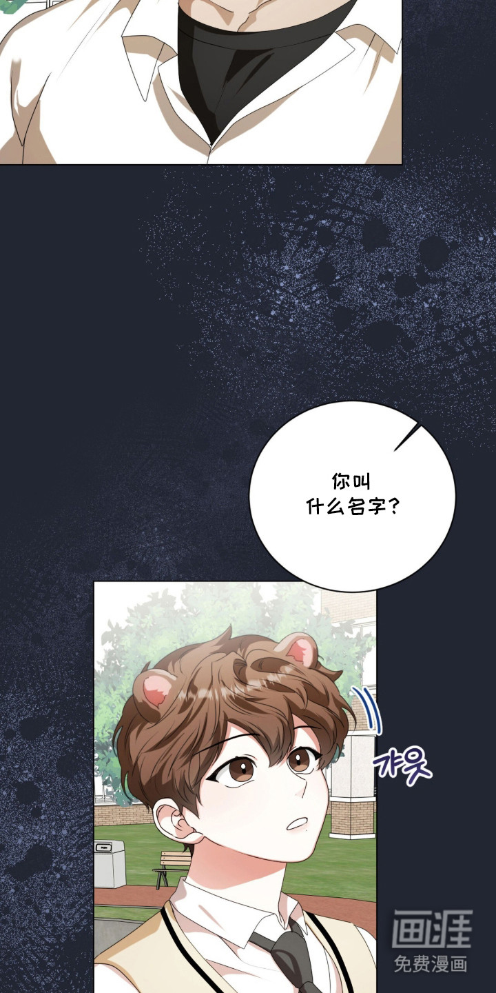 第54话11