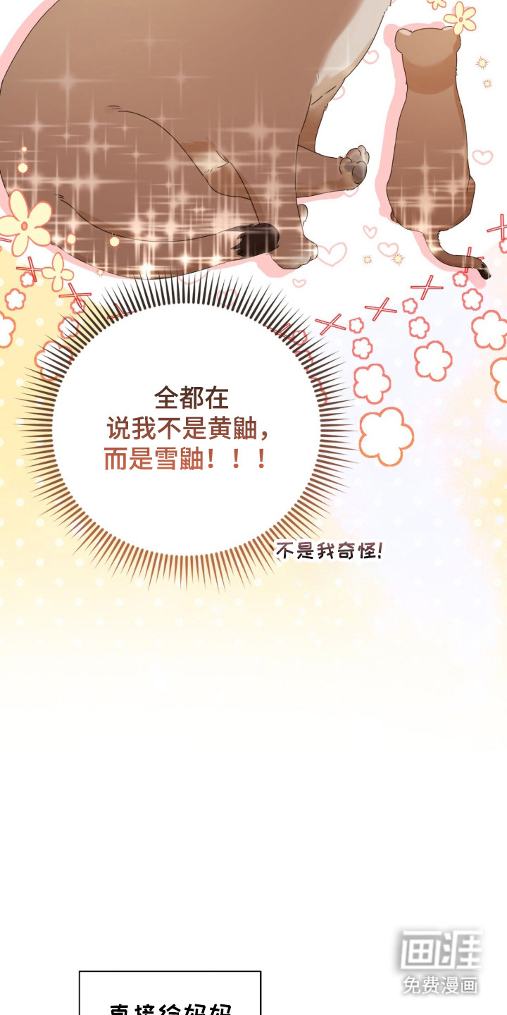 第49话18