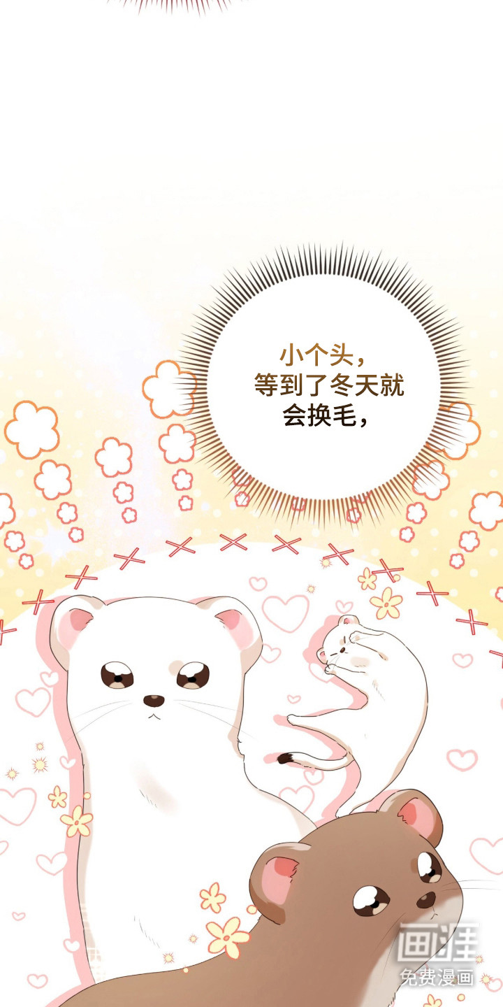 第49话17
