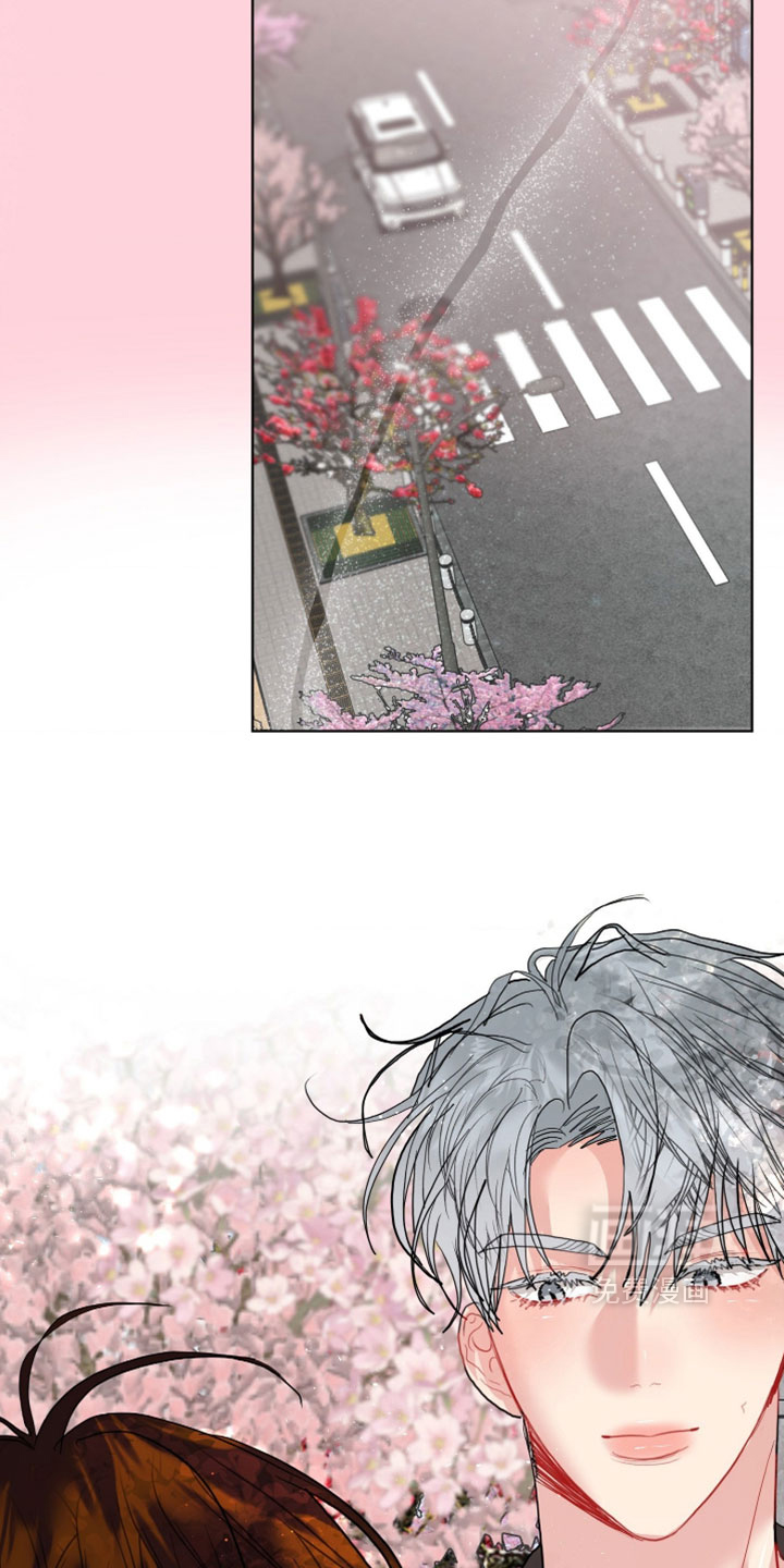 第44话18
