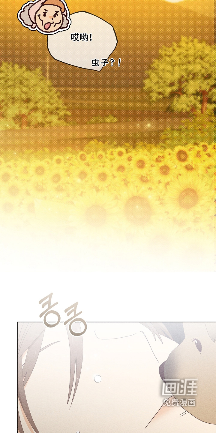第41话29
