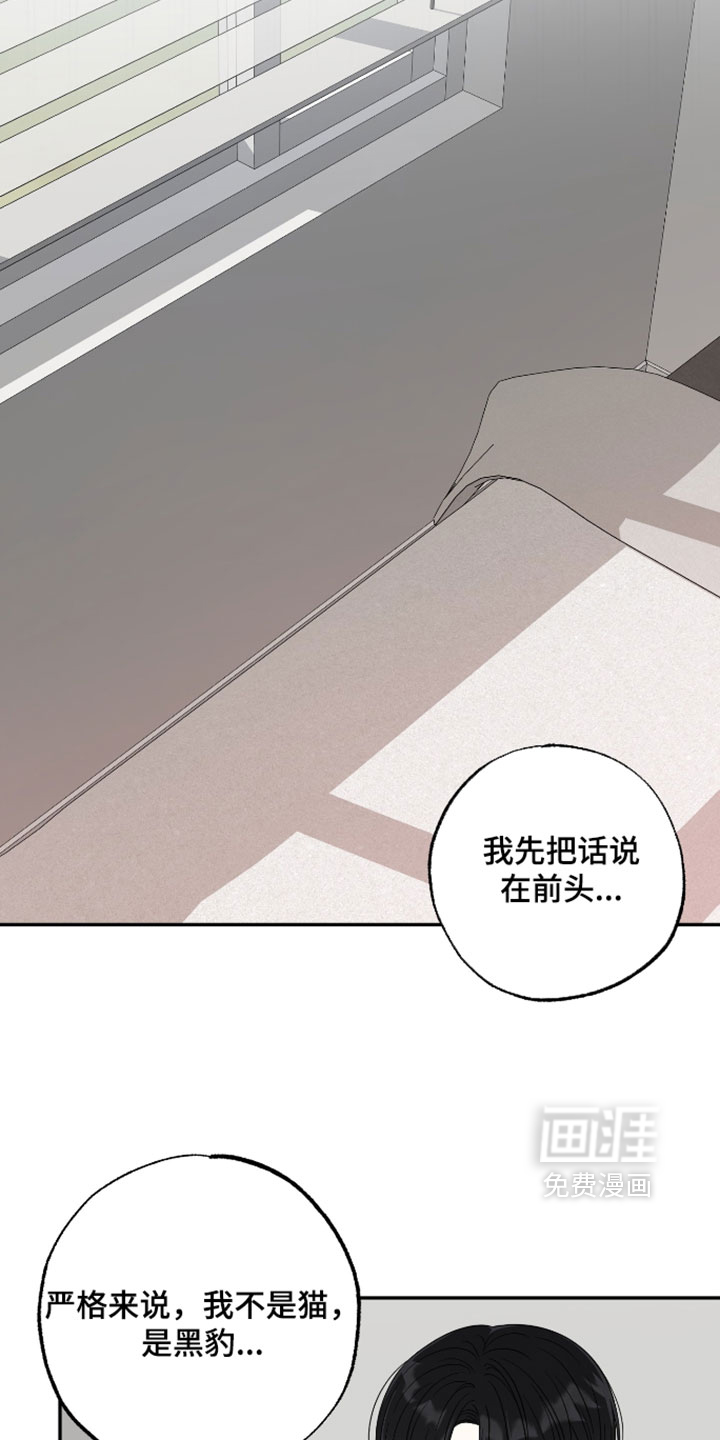 第52话19