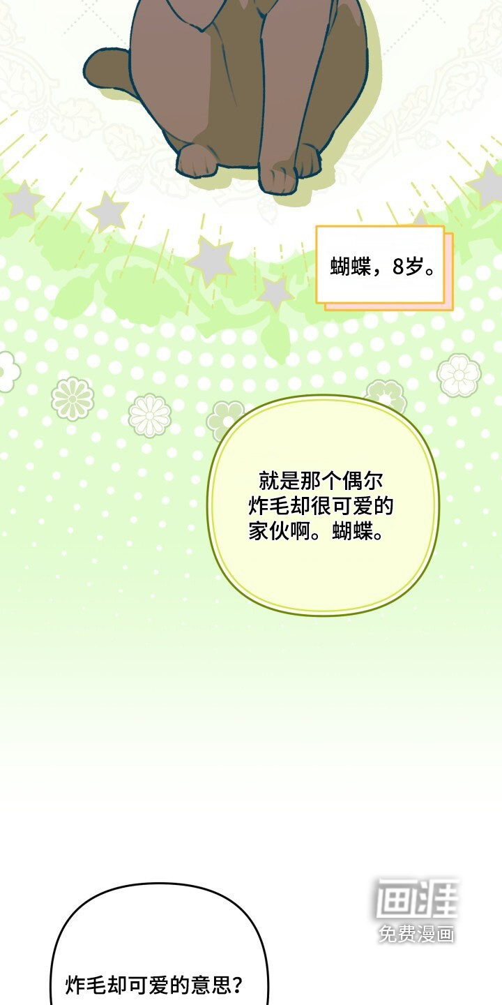 第55话11