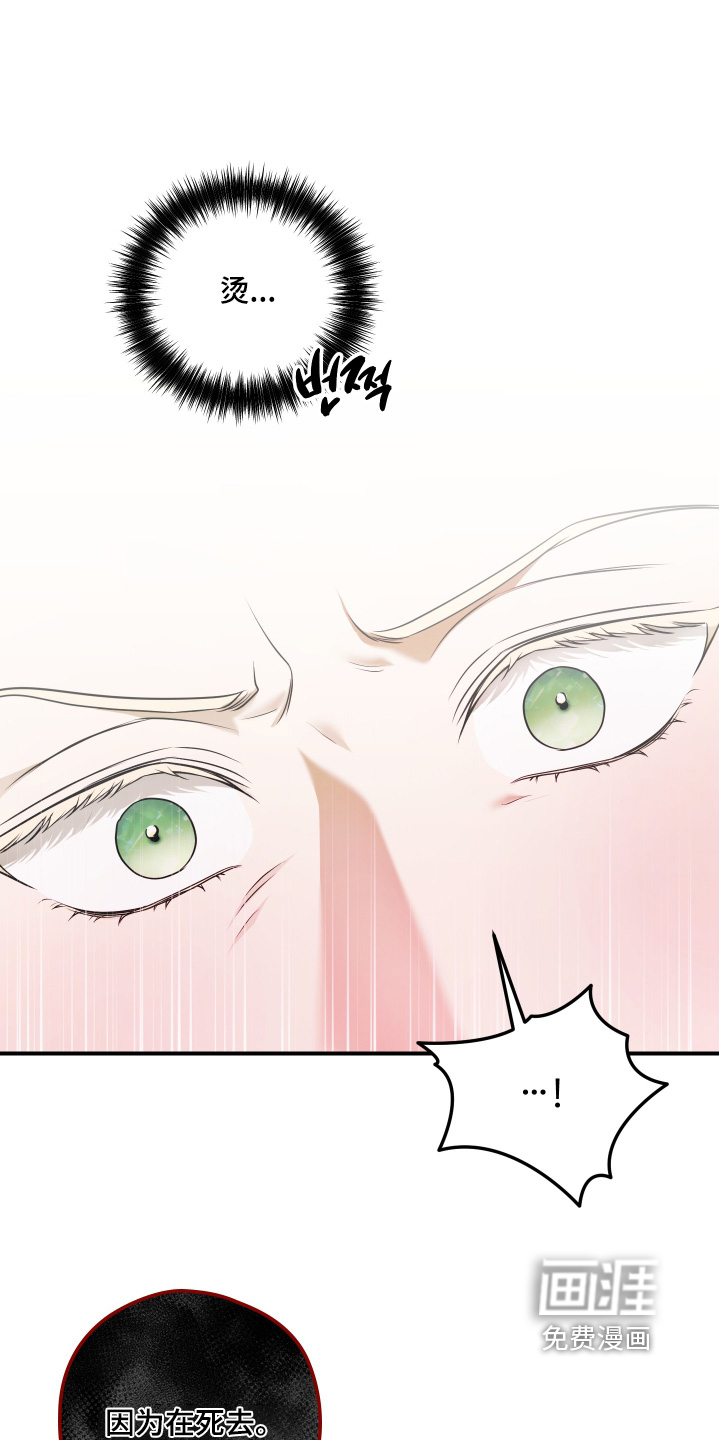 第43话14