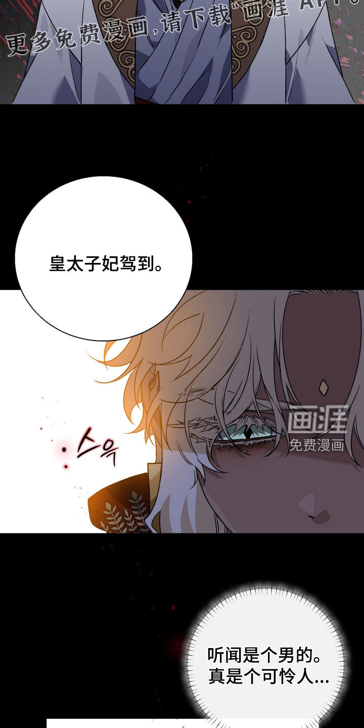 第52话5