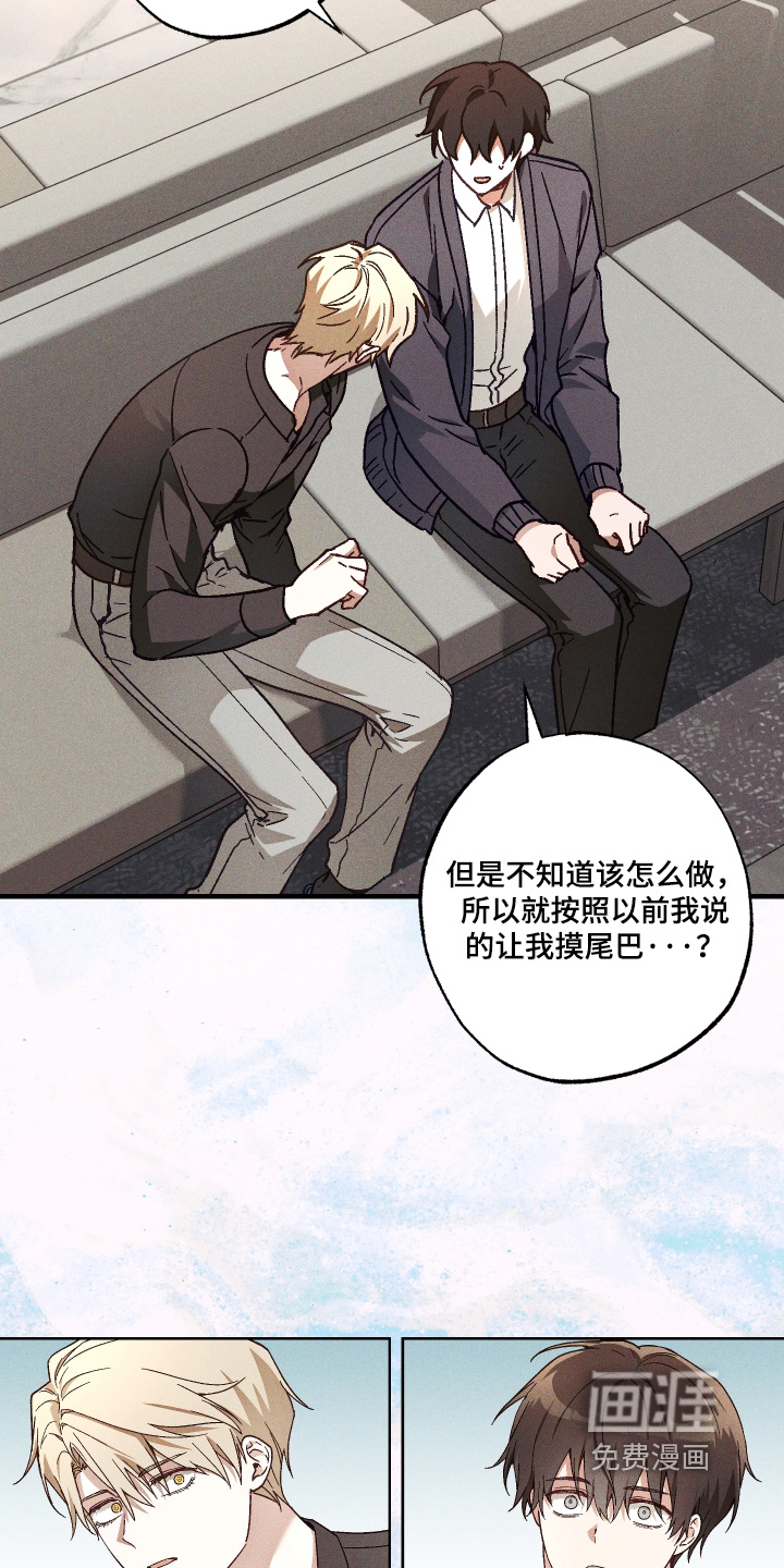 第55话5