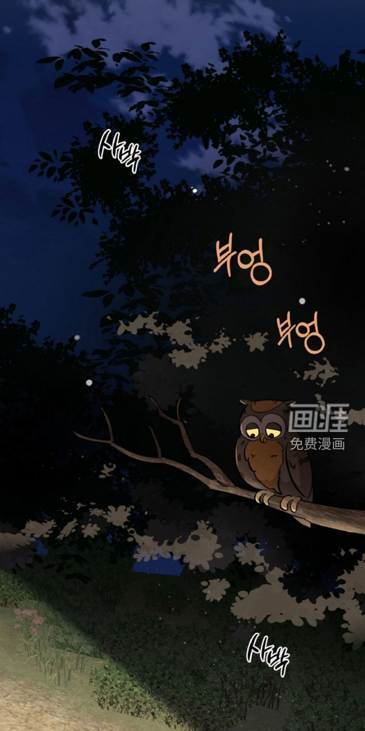 第138话1