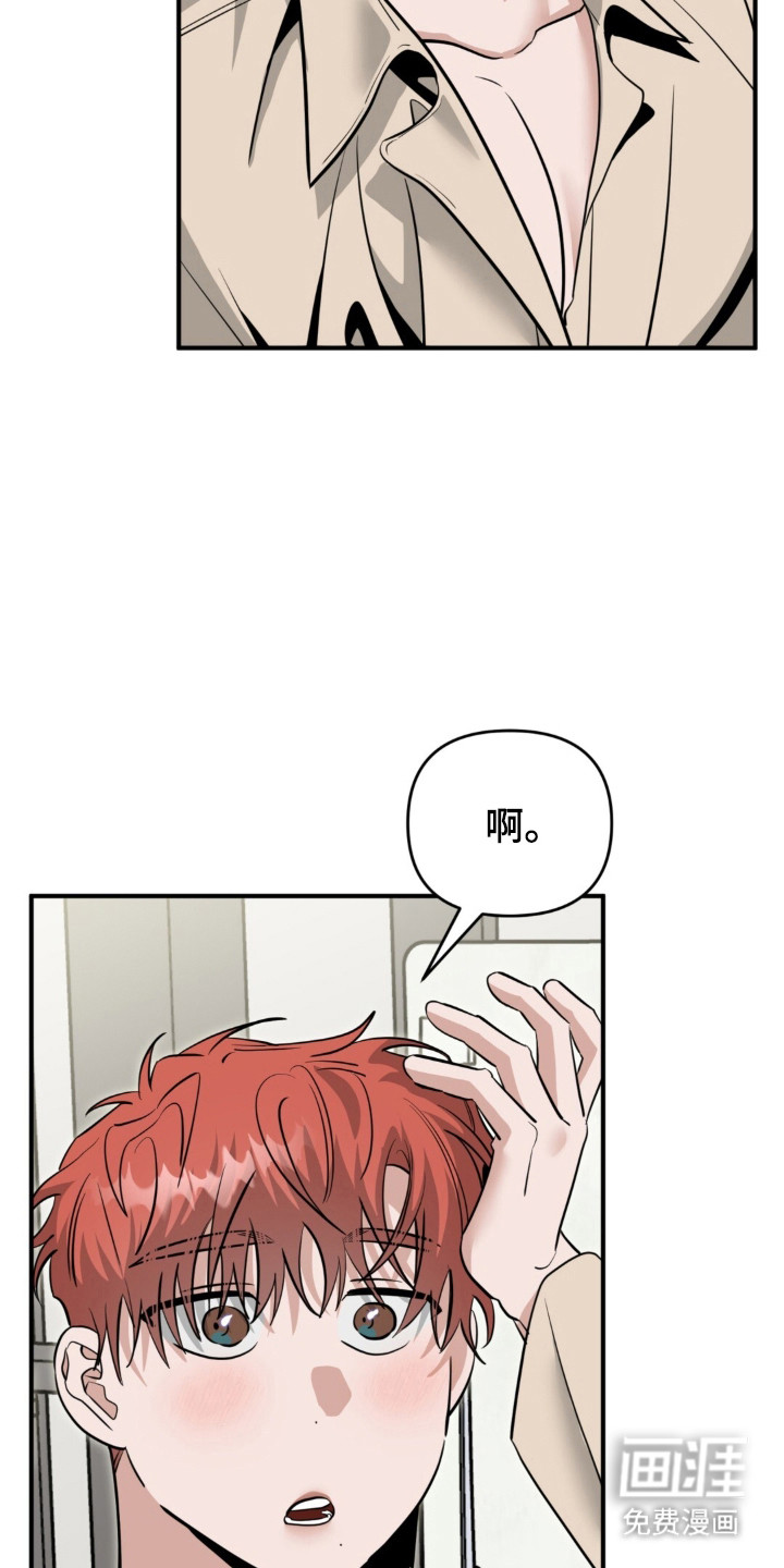第137话28