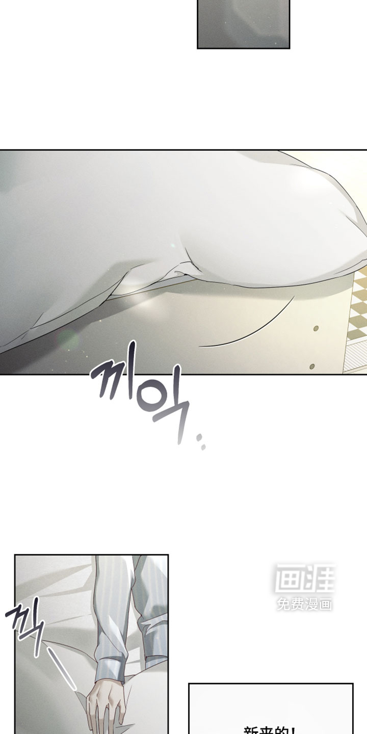 第95话29