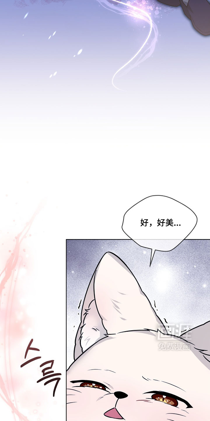 第118话6