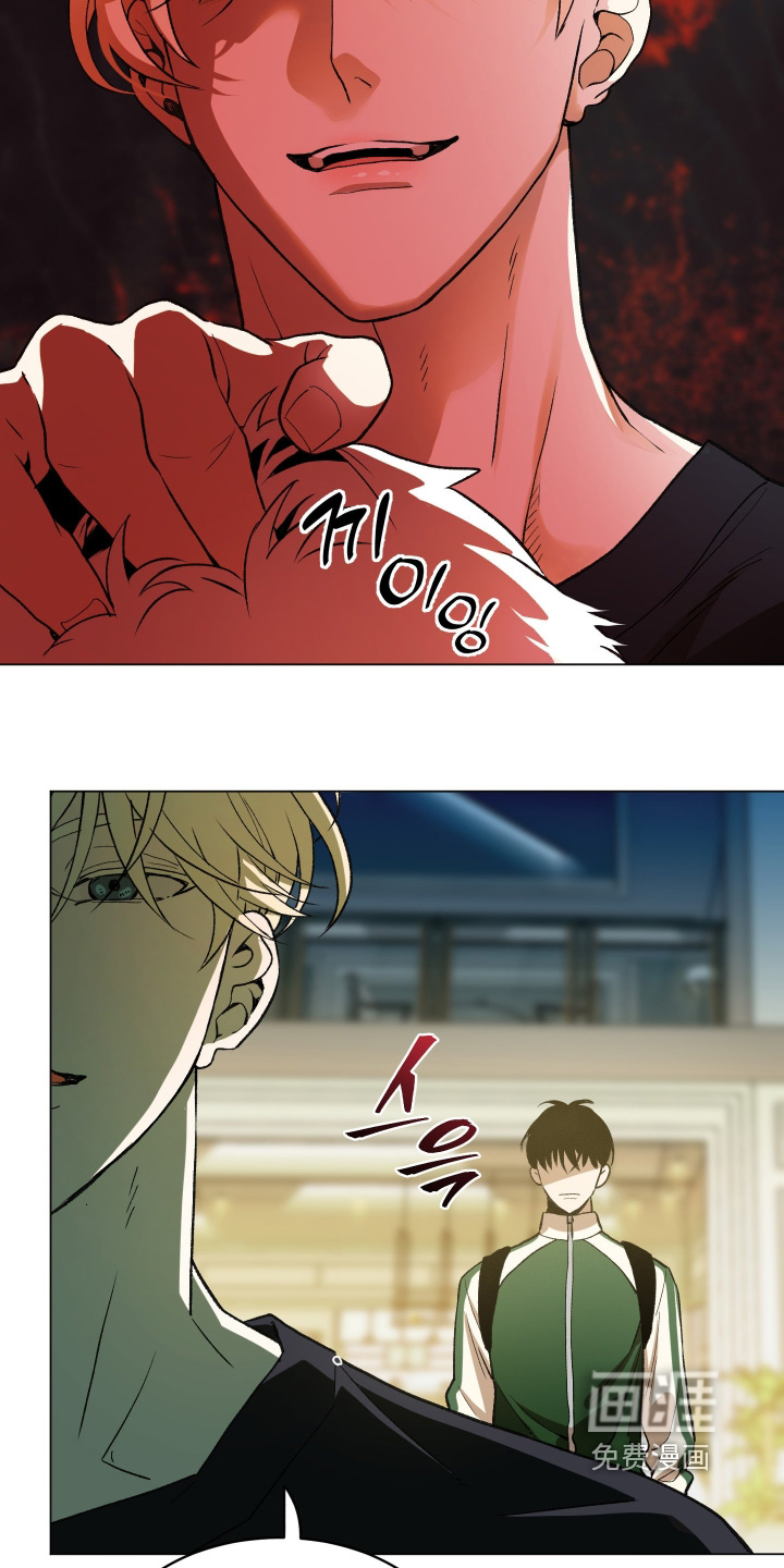 第28话29