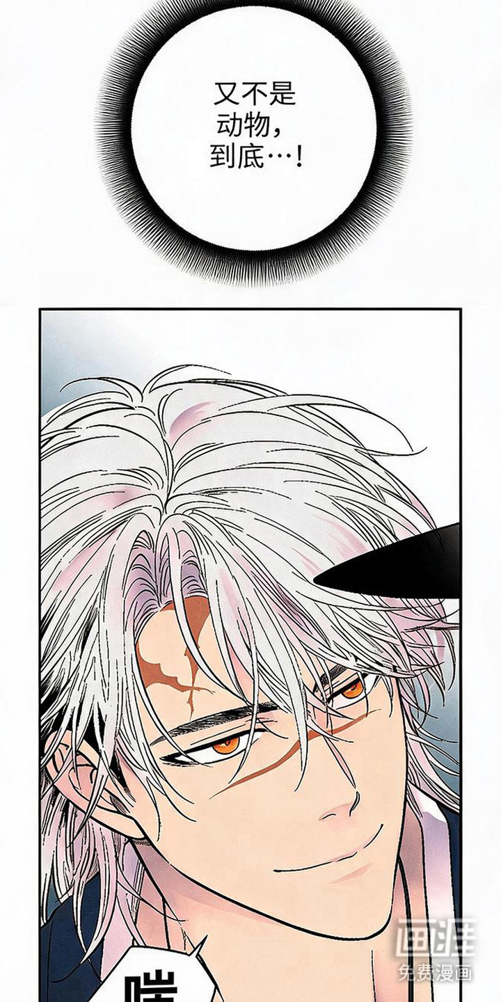 第11话6