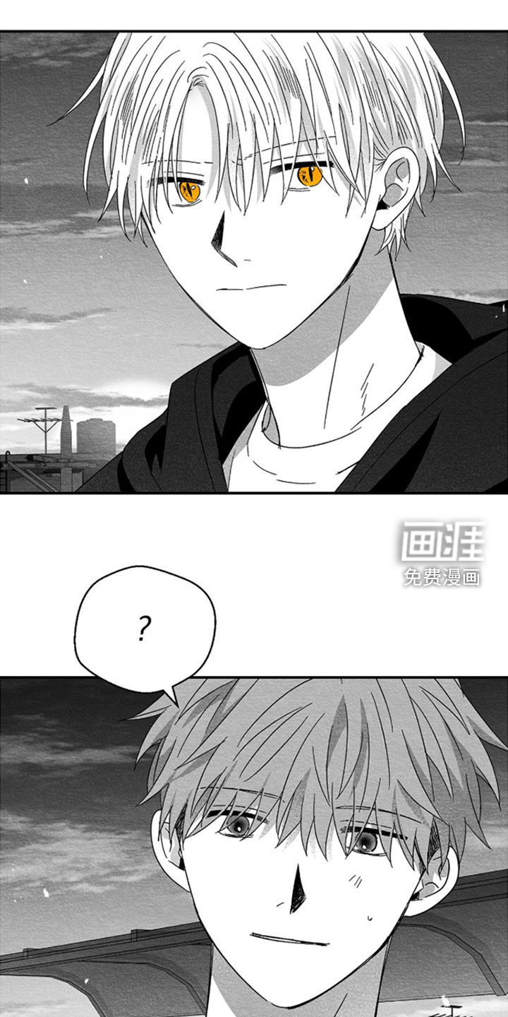 第143话8