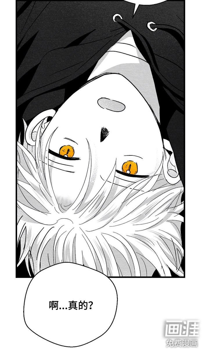 第142话17