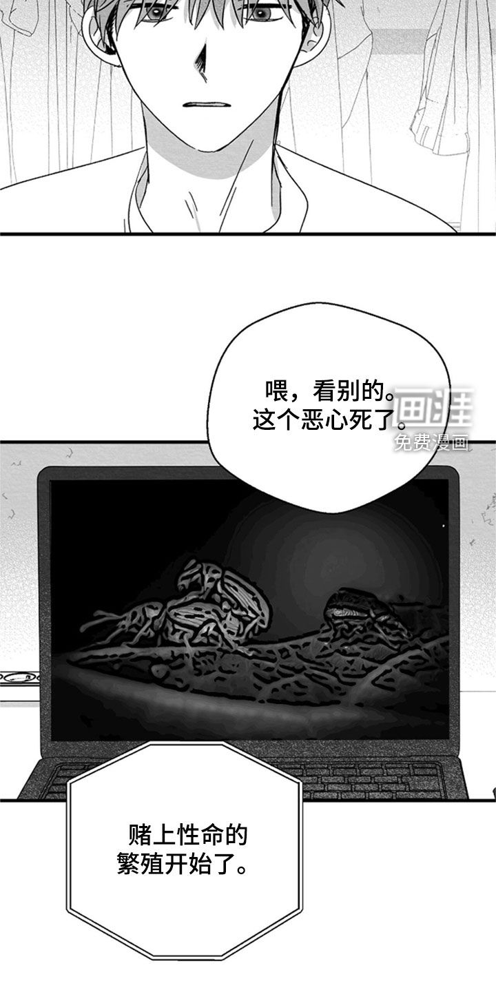 第141话13